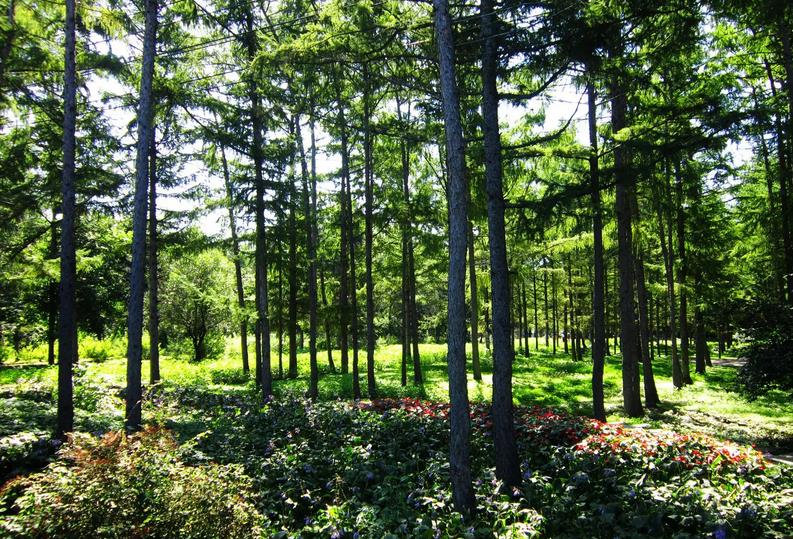 森林防護(hù)基地